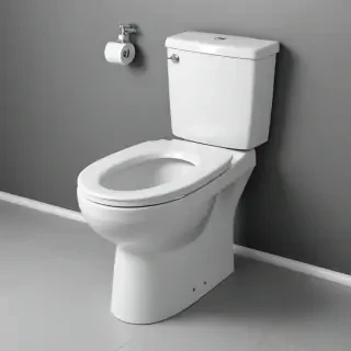 toilet png