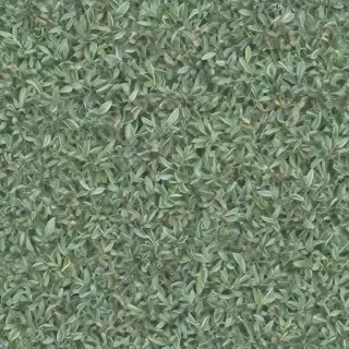 sage green photos