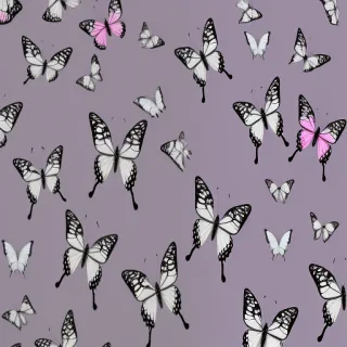 butterfly back ground