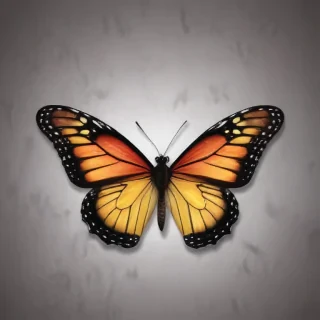 wallpaper iphone butterfly