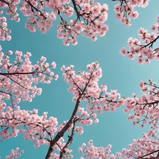 spring aesthetic wallpaper
