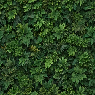 plant backgrounds