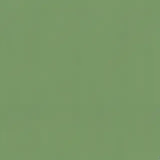 plain green bg