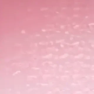 pastel pink bg