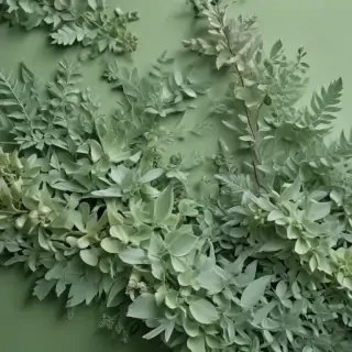 sage green bg
