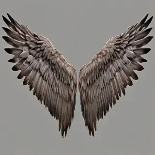 angle wings png
