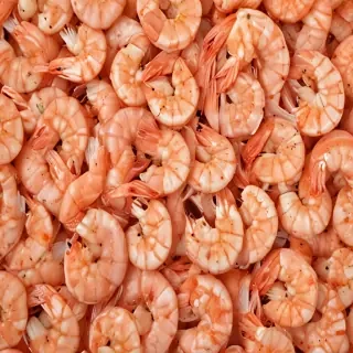 shrimp png