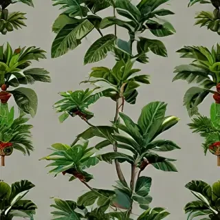 indoor plant png