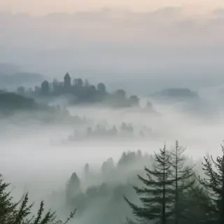 fog transparent background