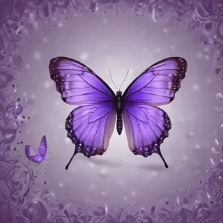 purple butterfly images