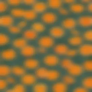 aesthetic wallpaper orange