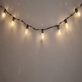 fairy lights png