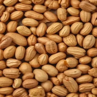peanut png