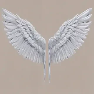 angle wings png