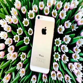 spring iphone