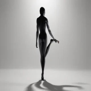 shadow transparent
