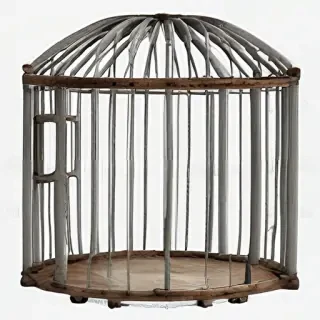cage png