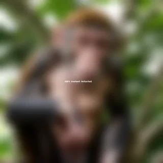 monkey png