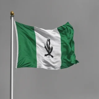 nigeria flag png