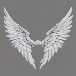 angel wings transparent background