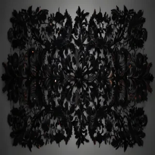 black lace png