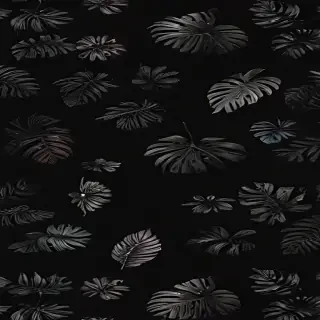 aesthetic wallpapers black