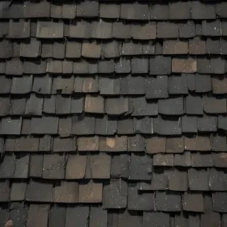 pictures of shingles