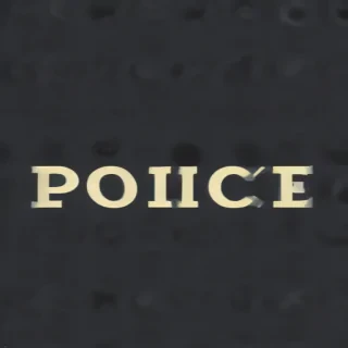 police backgrounds