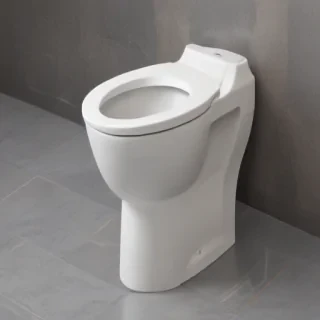 toilet png