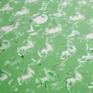 green and white backgrounds