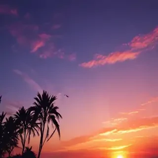 cute sunset wallpaper
