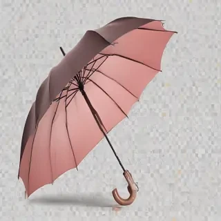 umbrella transparent background