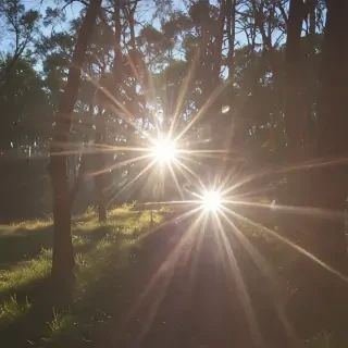 lens flare