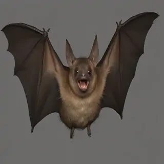 bat png