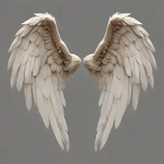 png angel wings