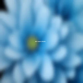 background blue flower