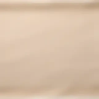 aesthetic ripped paper png