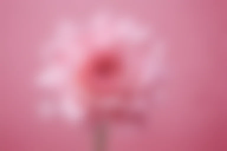 cute wallpaper pink