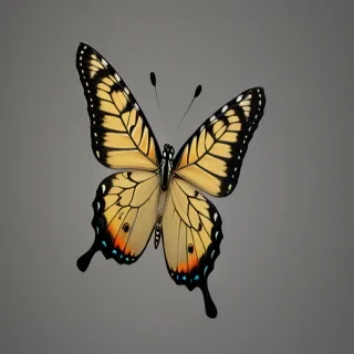 butterfly with no background