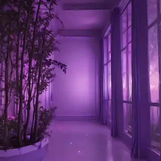 aesthetic purple pictures