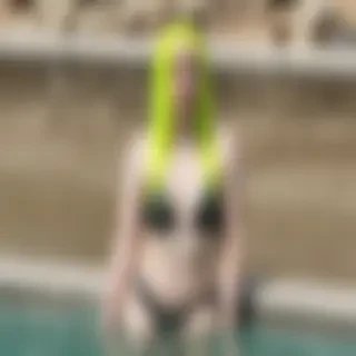 billie eilish in bikini