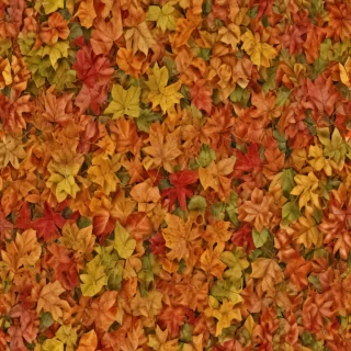 fall leaves
