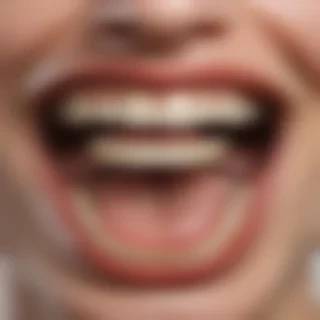 fangs png
