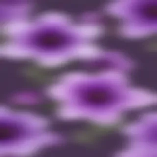 purple flowers png