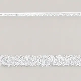 white border png