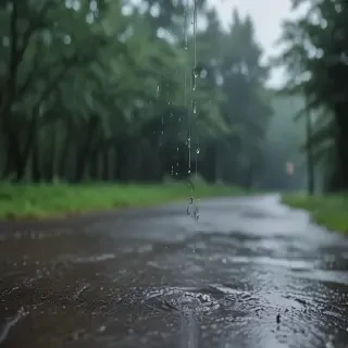 rain sounds