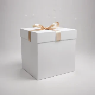 white boxes png