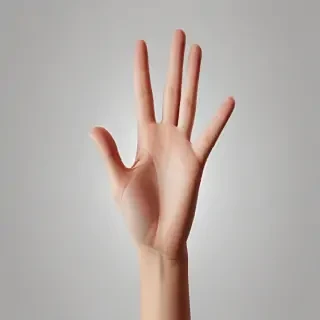 open hands png