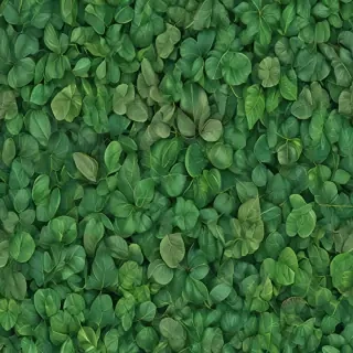 green leaf background