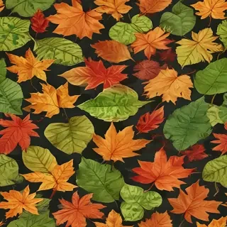 leaves no background